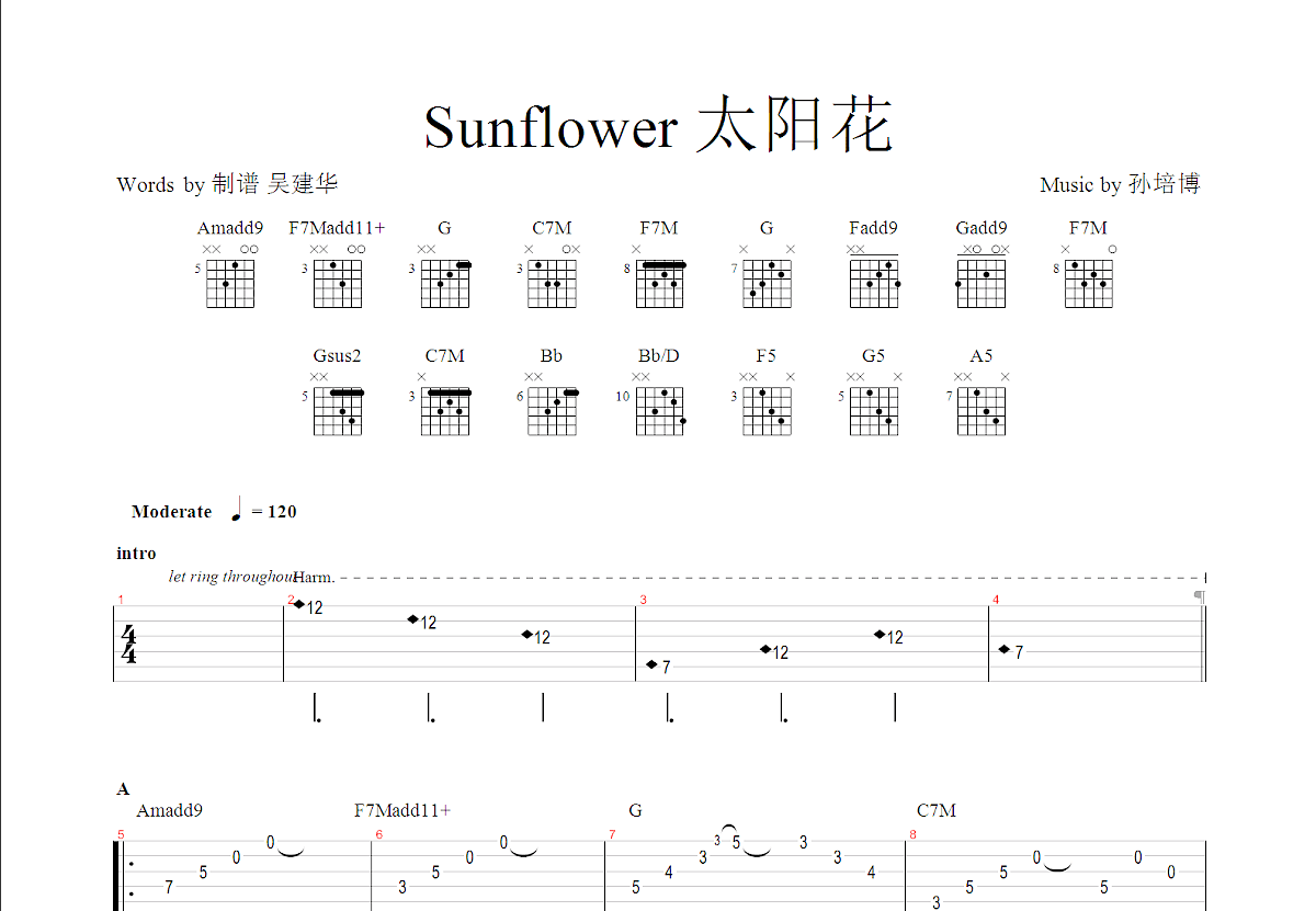 Sunflower吉他谱原版a调指弹 - 孙培博 - 阳光草原轻盈绽放 | 吉他湾